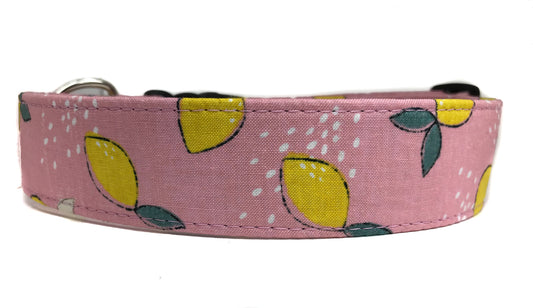 "Lemonade" Dog Collar
