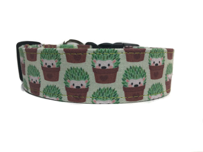 "The Hedge" Dog Collar