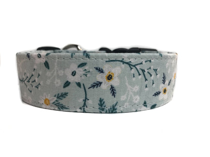 "The Hailey" Dog Collar