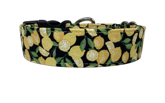 "Lil Lemons" Dog Collar