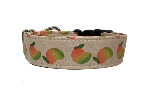 "Tango Mango" Dog Collar