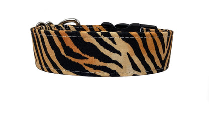 "The Tiger" Dog Collar