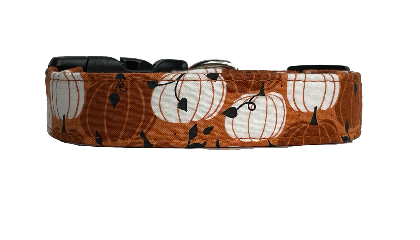 "Pumpkin Patch" Dog Collar
