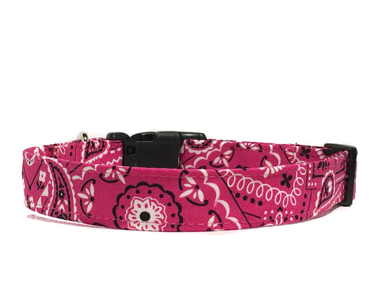 "Rodeo Girl" Dog Collar