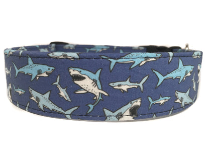 "The Beware" Dog Collar